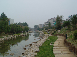 張面河綠化景觀(guān)工程